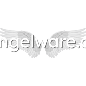 Angelware Lifetime